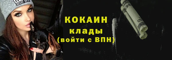 тгк Алзамай