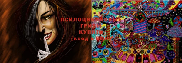 прущий лед Осташков
