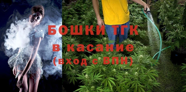 прущие грибы Абинск