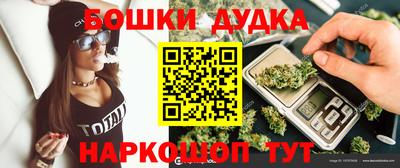 стаф Нальчик