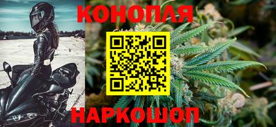 стаф Нальчик