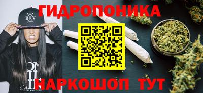 стаф Нальчик