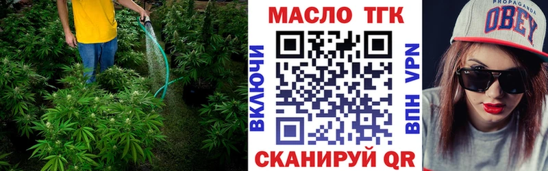 Дистиллят ТГК гашишное масло  магазин продажи наркотиков  Черногорск 