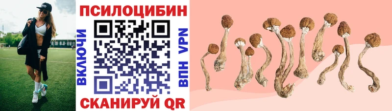 Галлюциногенные грибы ЛСД  mega tor  Черногорск  цена  