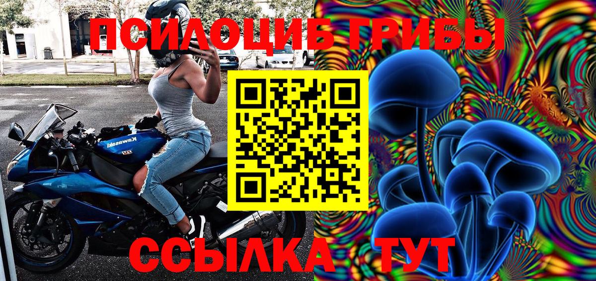 Галлюциногенные грибы Psilocybe  Вход с VPN  Черногорск 