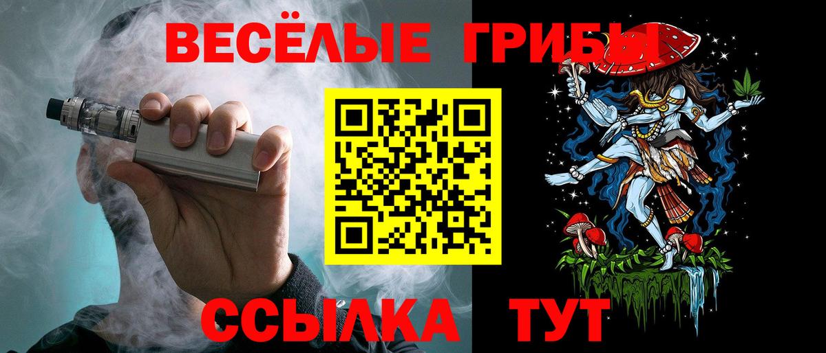 Галлюциногенные грибы ЛСД Черногорск